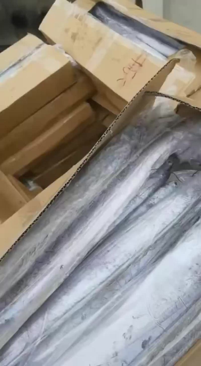 精品刀鱼
