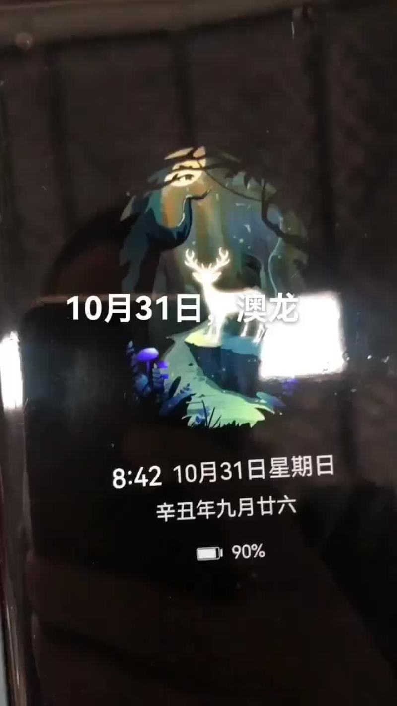 澳龙