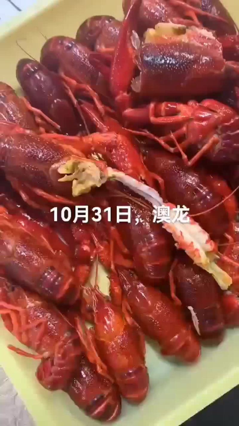 澳龙