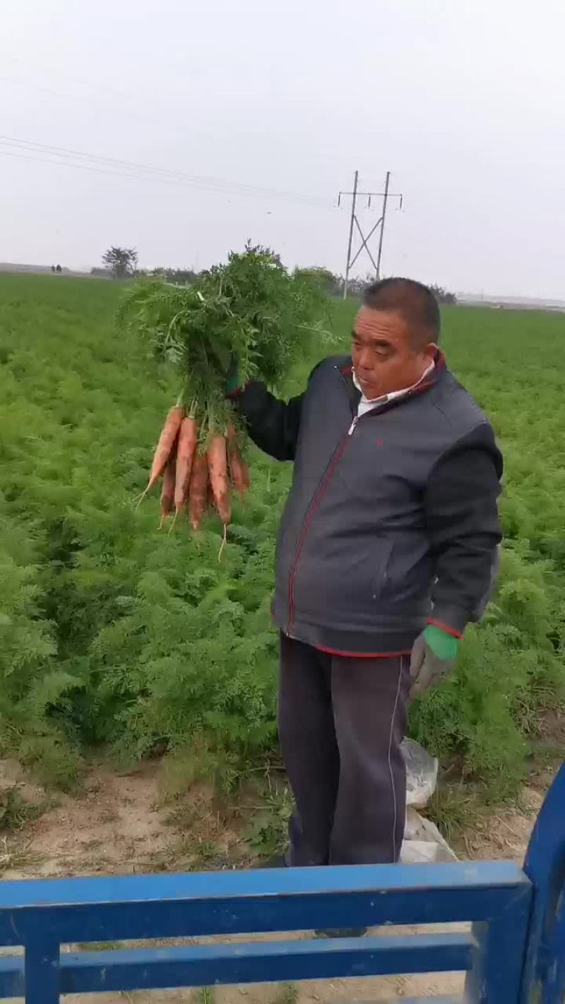 胡萝卜