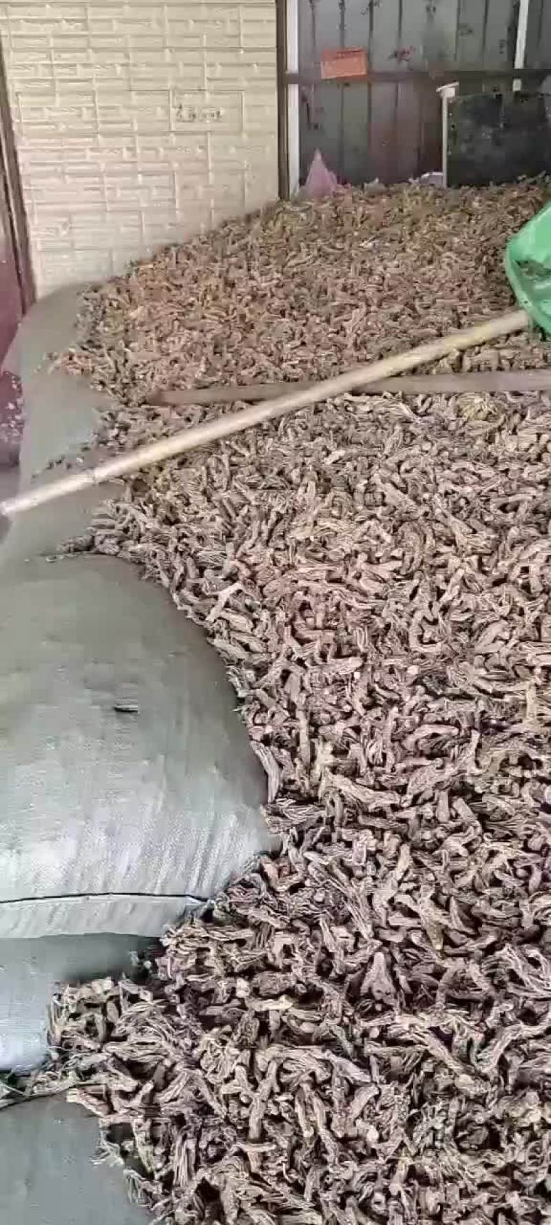 知母