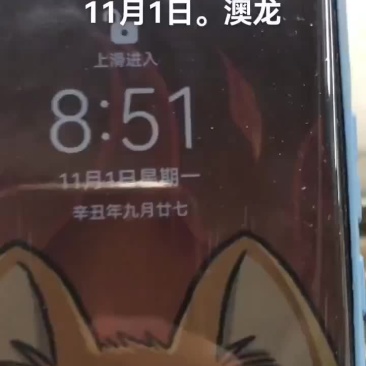 澳龙