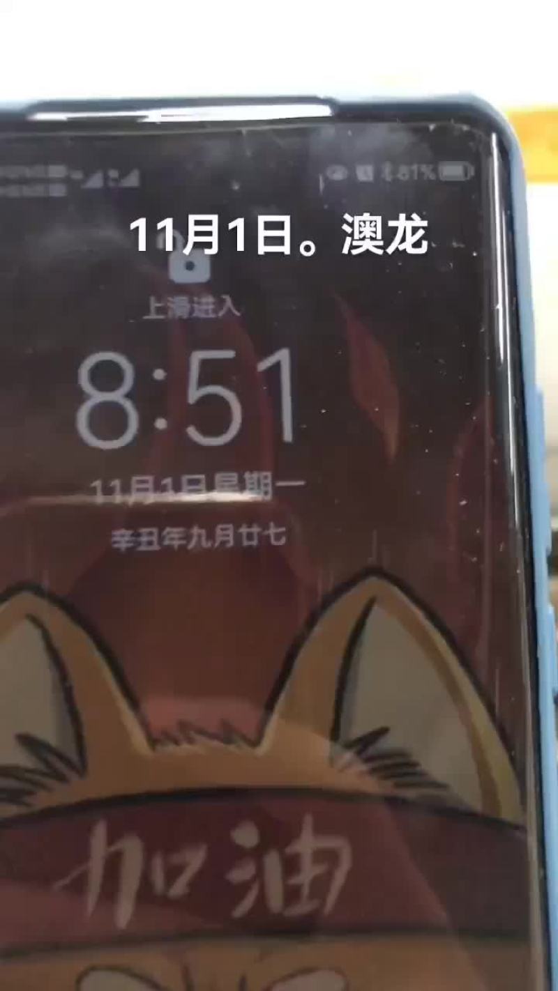 澳龙