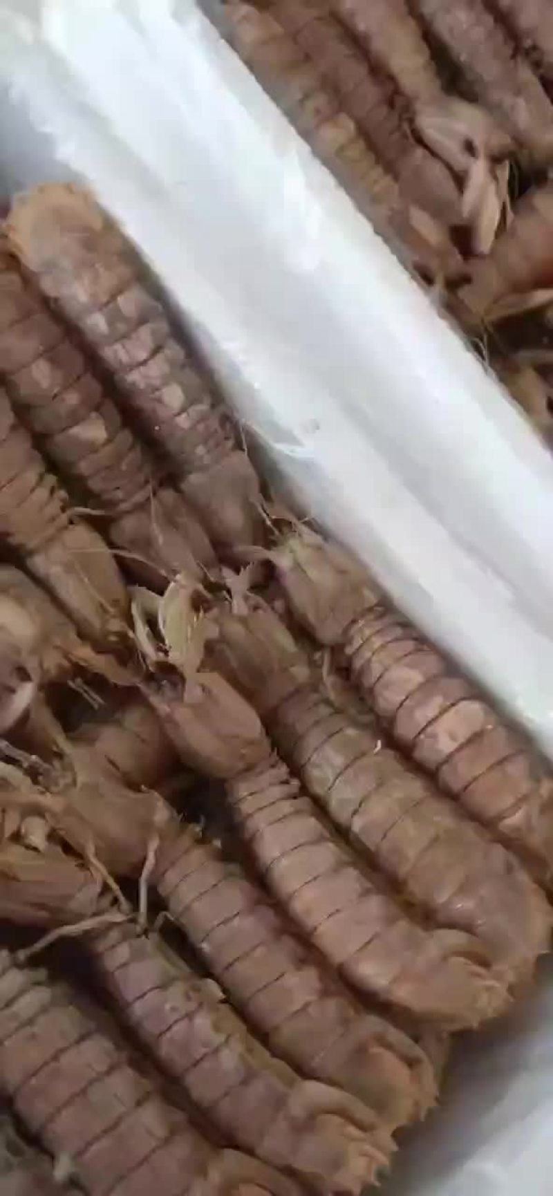 熟冻皮皮虾，自己加工，自助餐可用，欢迎新朋友购物
