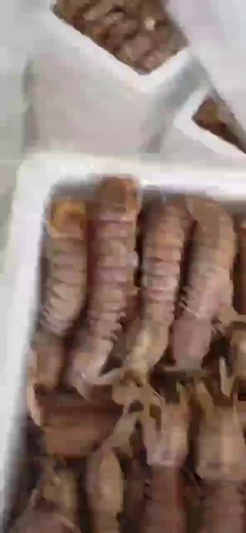 熟冻皮皮虾，自己加工，自助餐可用，欢迎新朋友购物