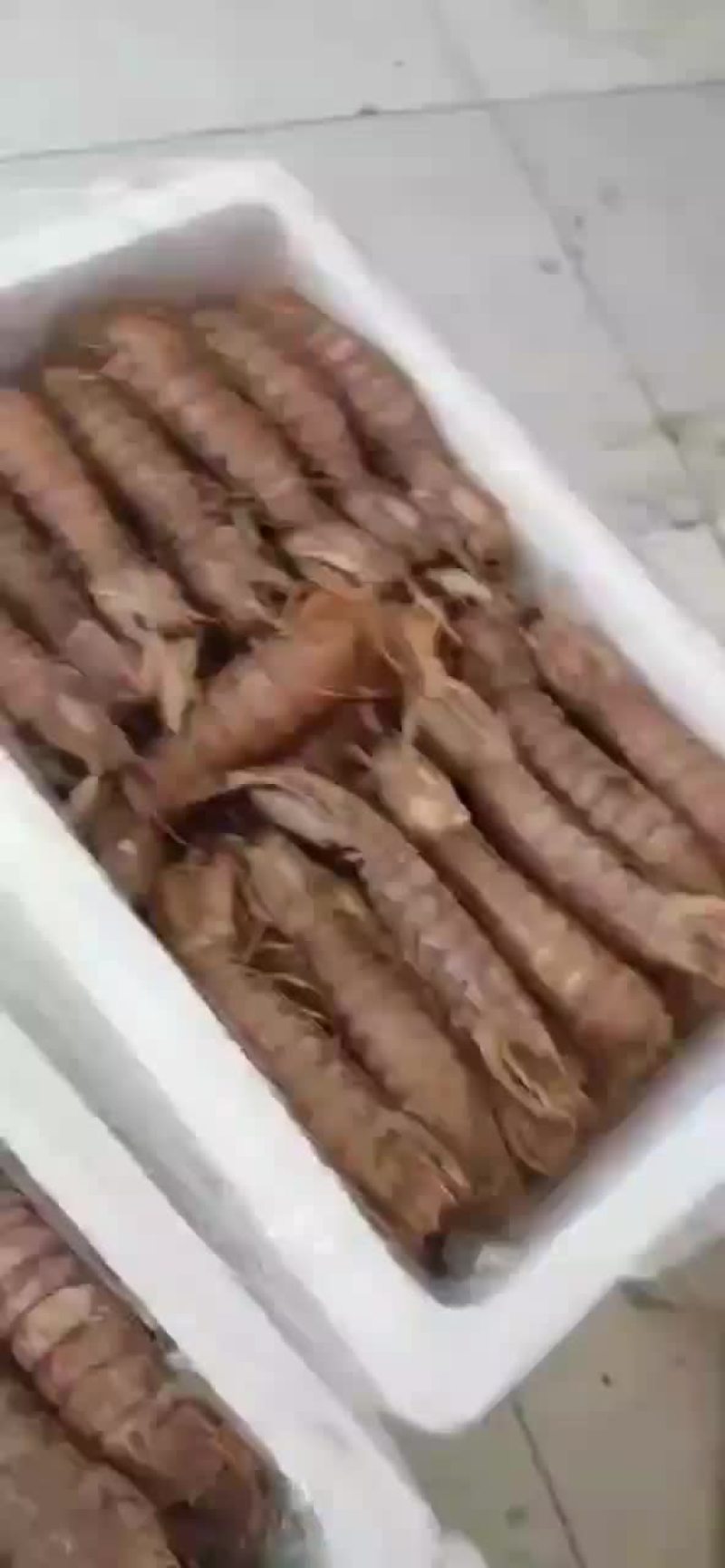 熟冻皮皮虾，自己加工，自助餐可用，欢迎新朋友购物