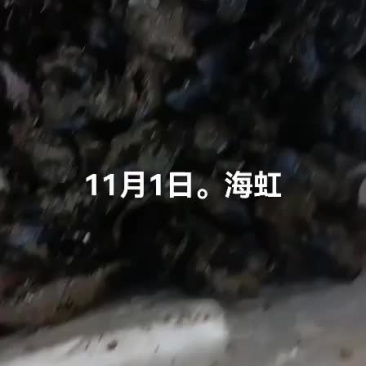 海虹