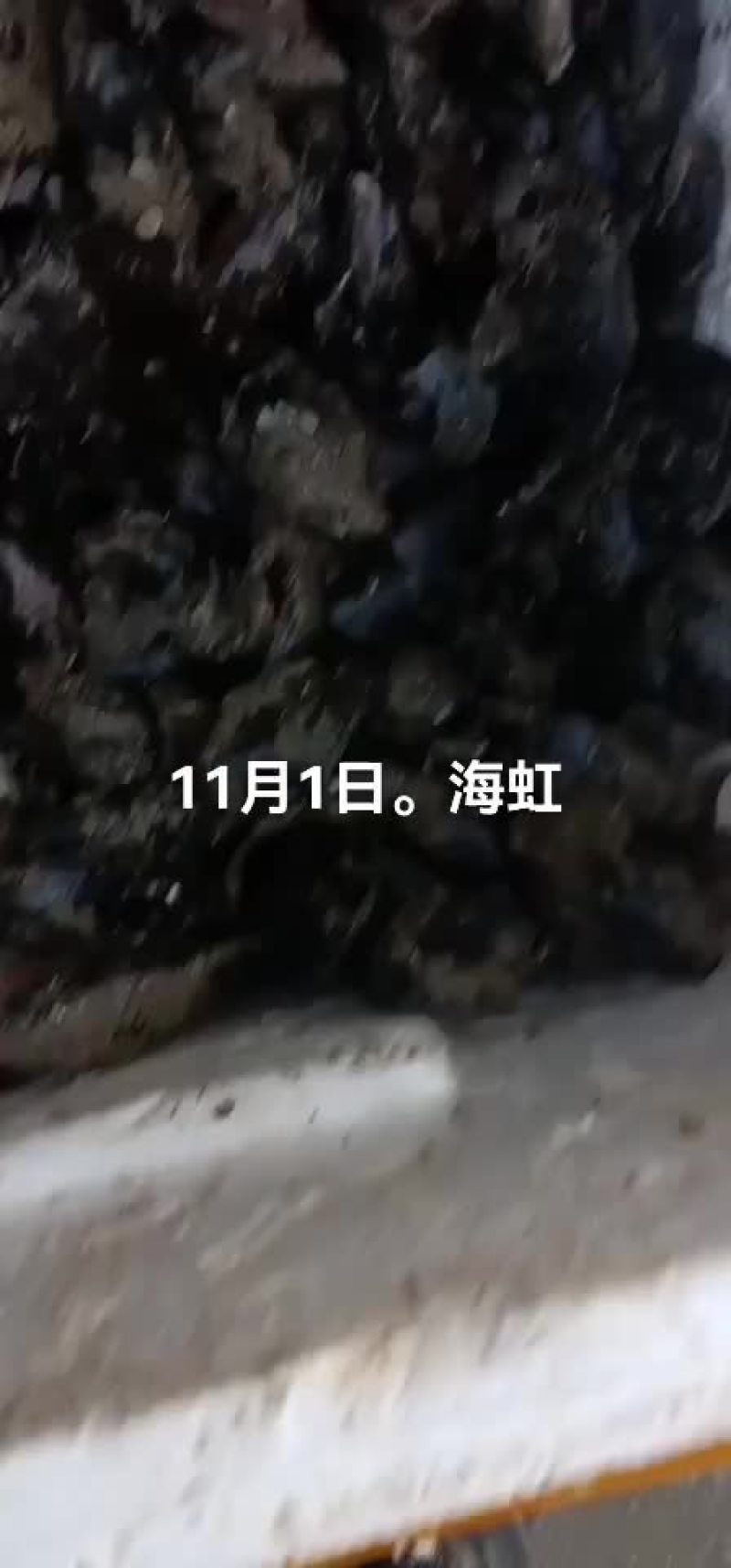 海虹