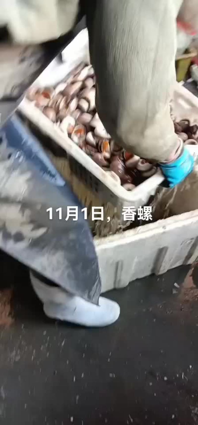 香螺