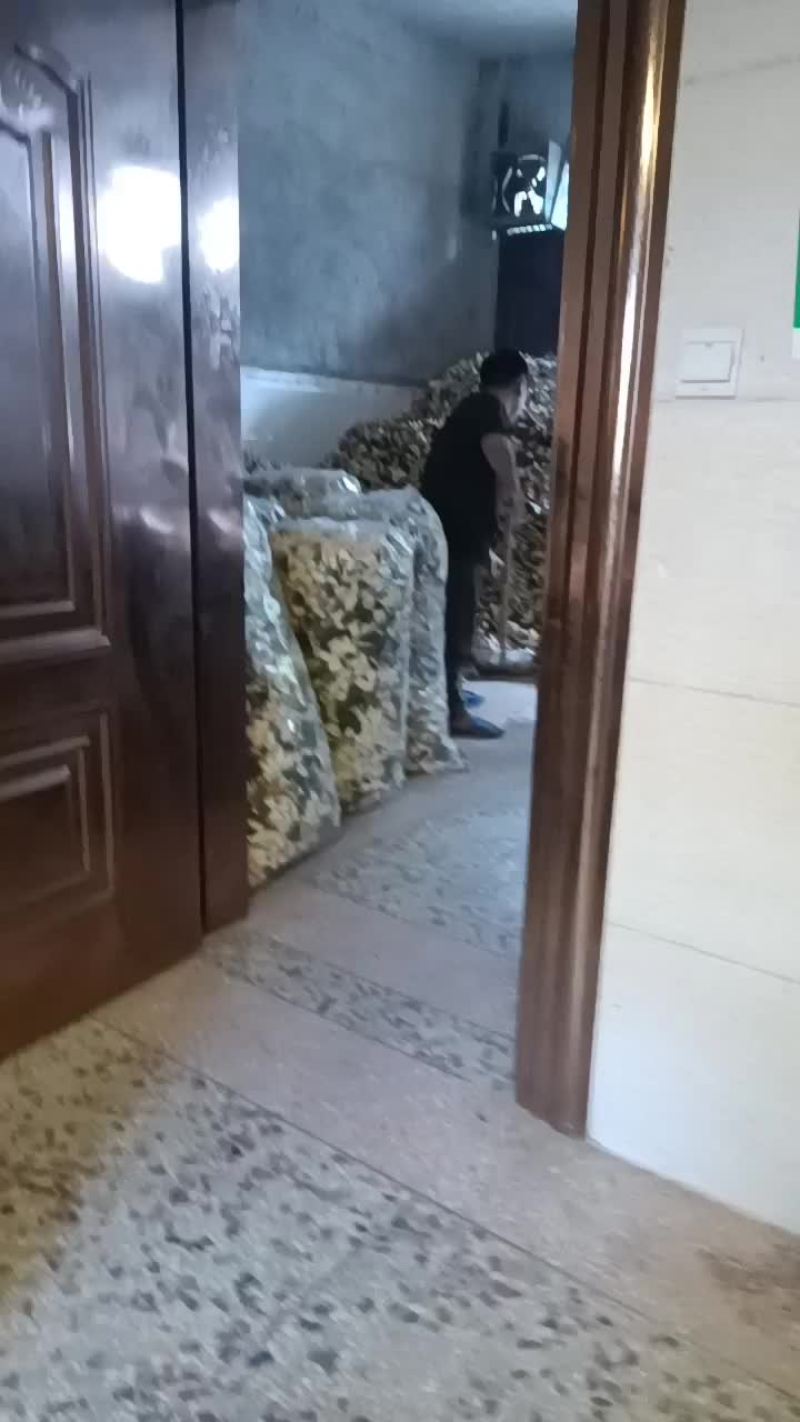 新会陈皮