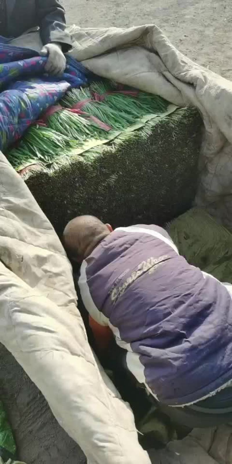 大量上市中，欢迎采购