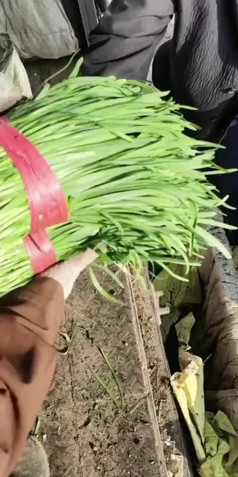 大量上市中，欢迎采购