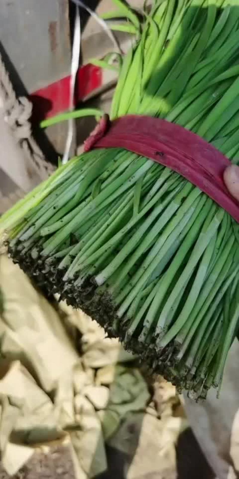大量上市中，欢迎采购