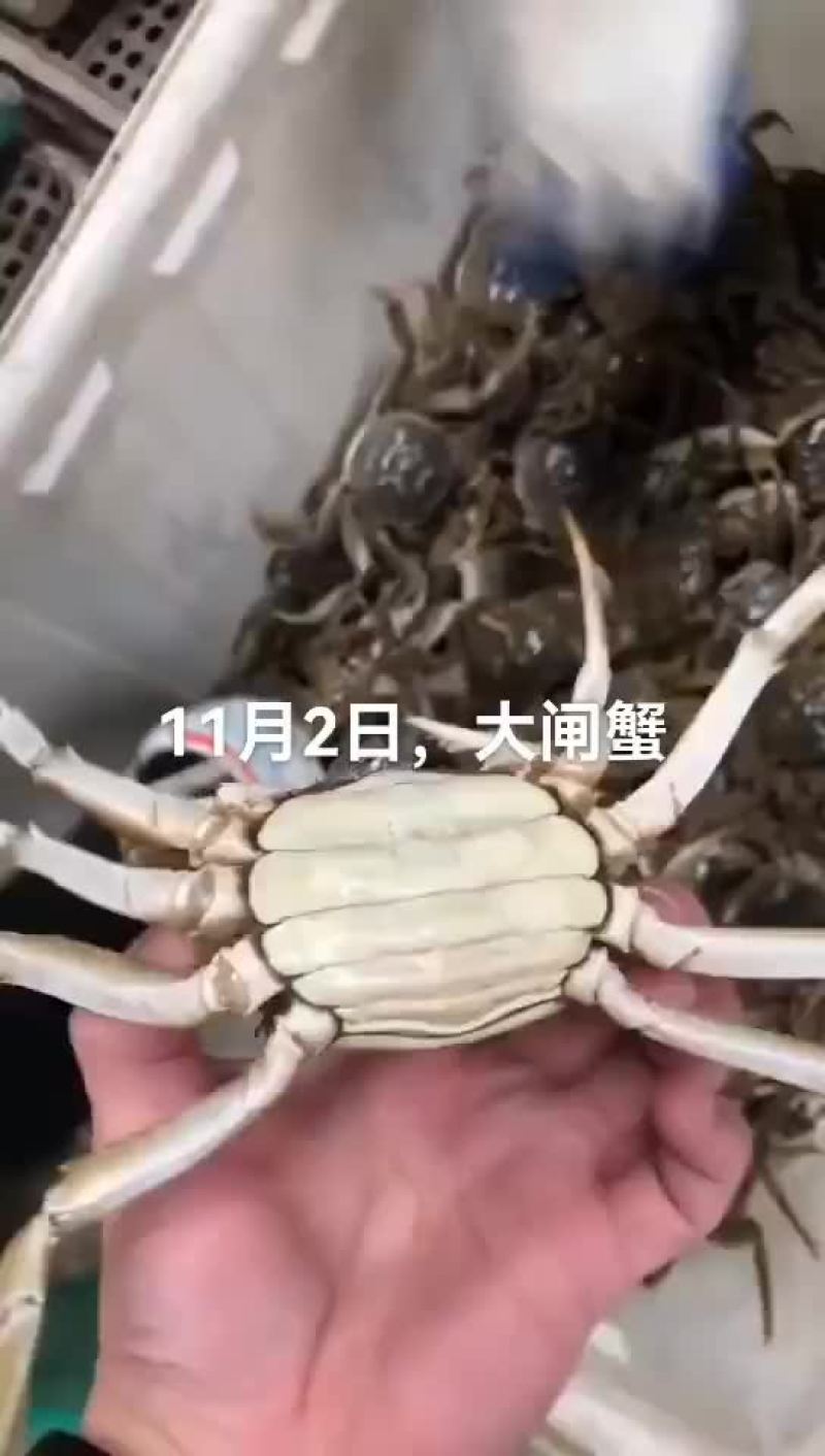 河蟹