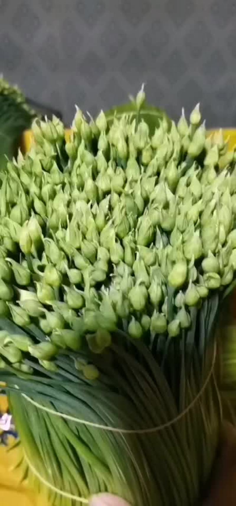 广东韭菜花。韭苔。韭菜。韭菜花。韭花