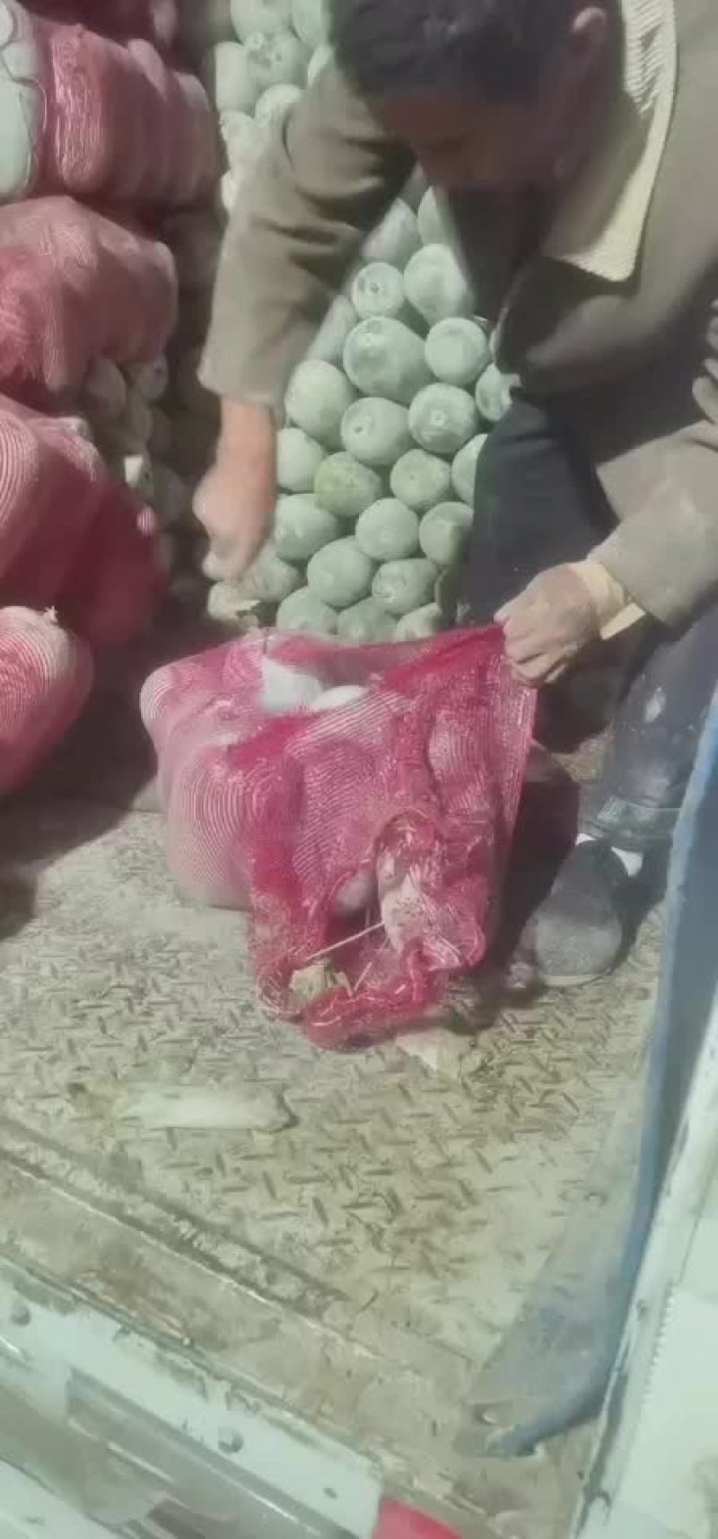 水果冬瓜