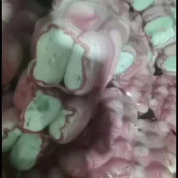 水果冬瓜