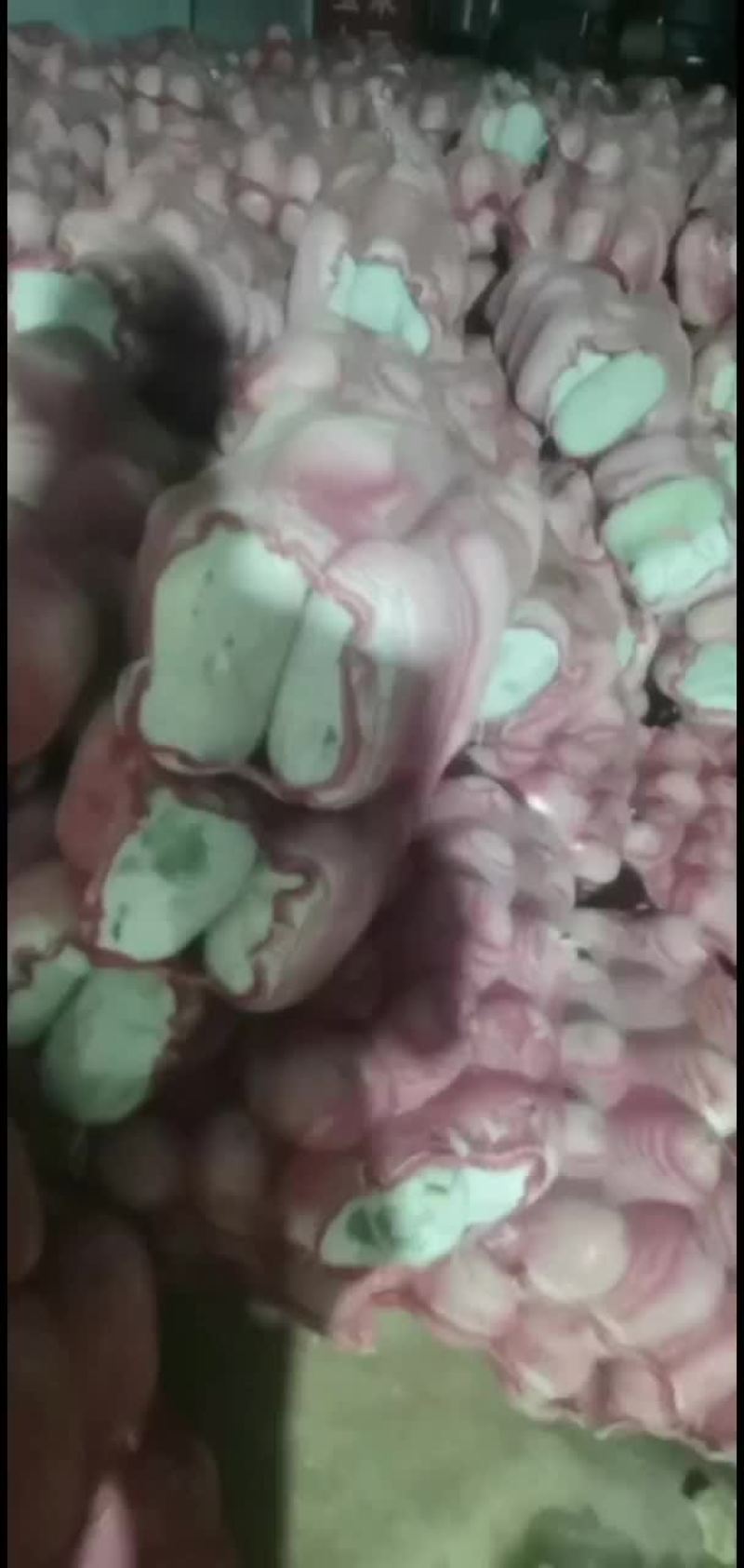 水果冬瓜