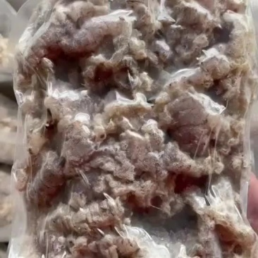 皮皮虾半截肉，三鲜饺子好原料