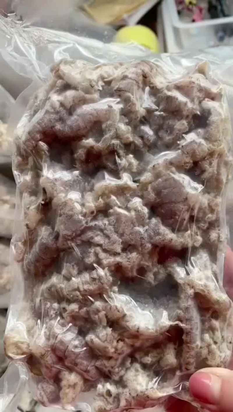 皮皮虾半截肉，三鲜饺子好原料