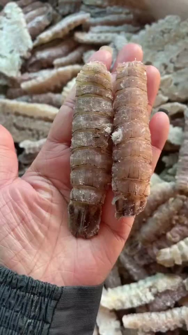皮皮虾肉，整肉，大小规格齐全