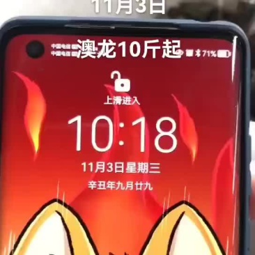 澳龙