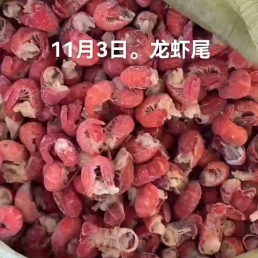 龙虾尾
