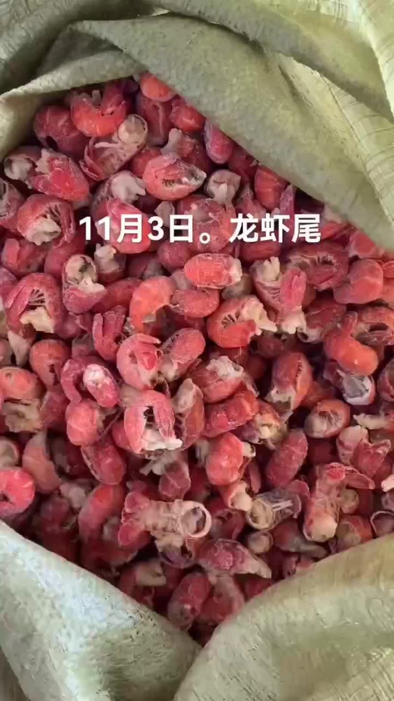 龙虾尾