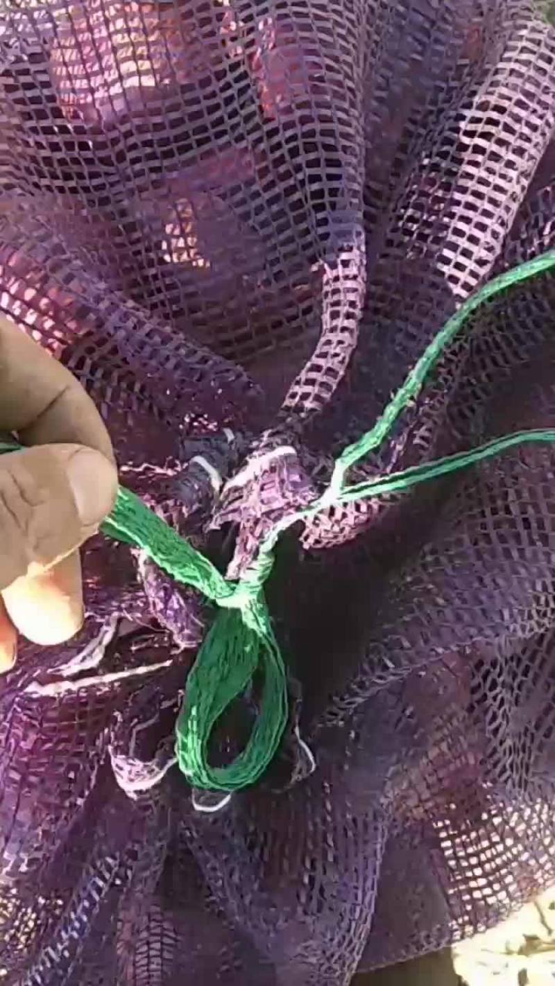 洋葱