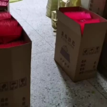 低价！高质量保障！超靓扫把扫帚；款式多！货源充足！