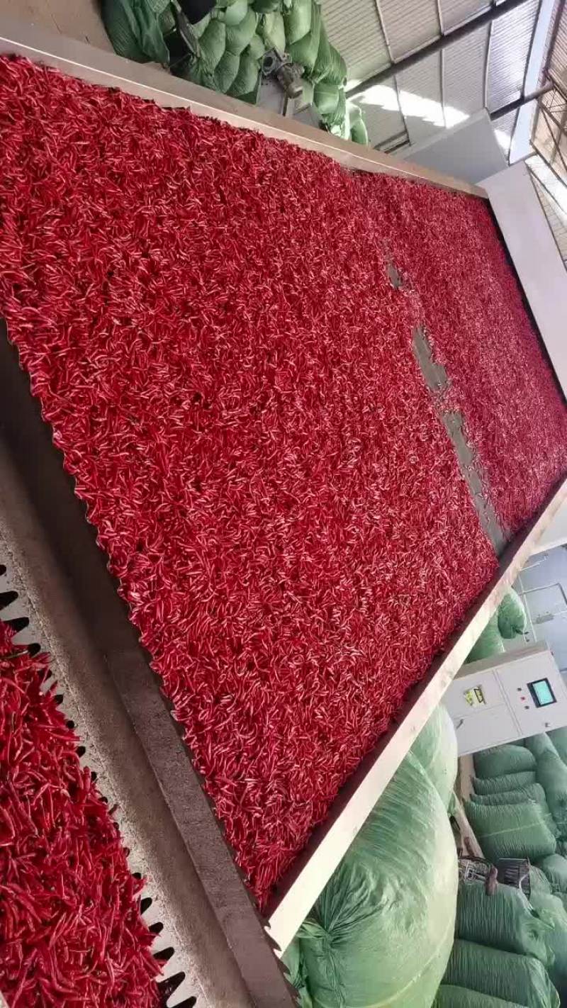 小米椒，干椒