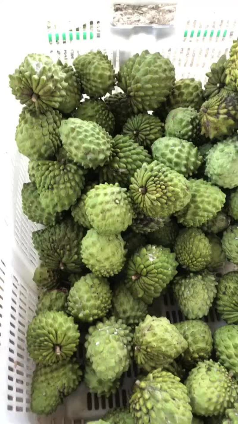 小果