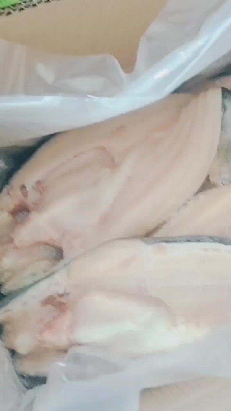 开背巴沙鱼