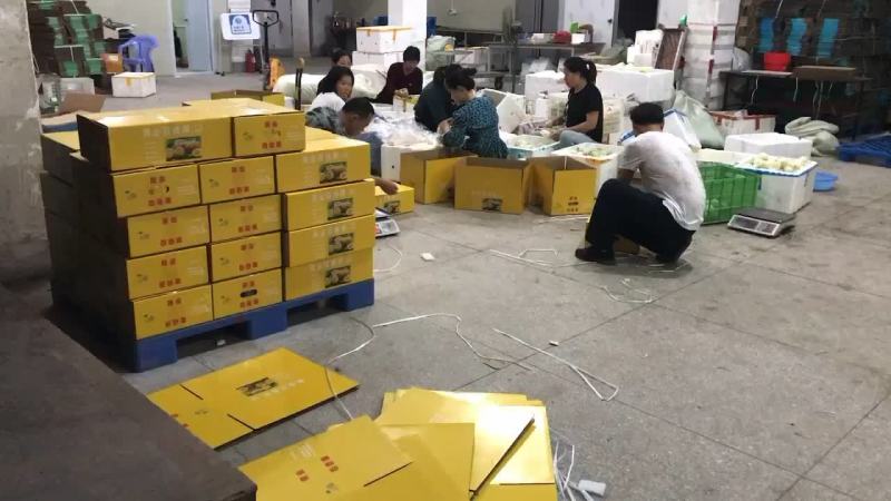 甜度16以上精品礼盒装黄金百香果