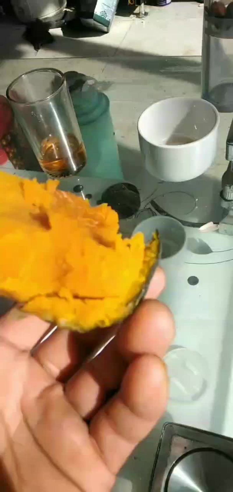 南瓜