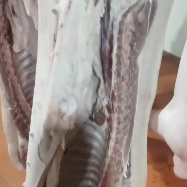 恩施土家猪猪杀了上炕腌腊肉