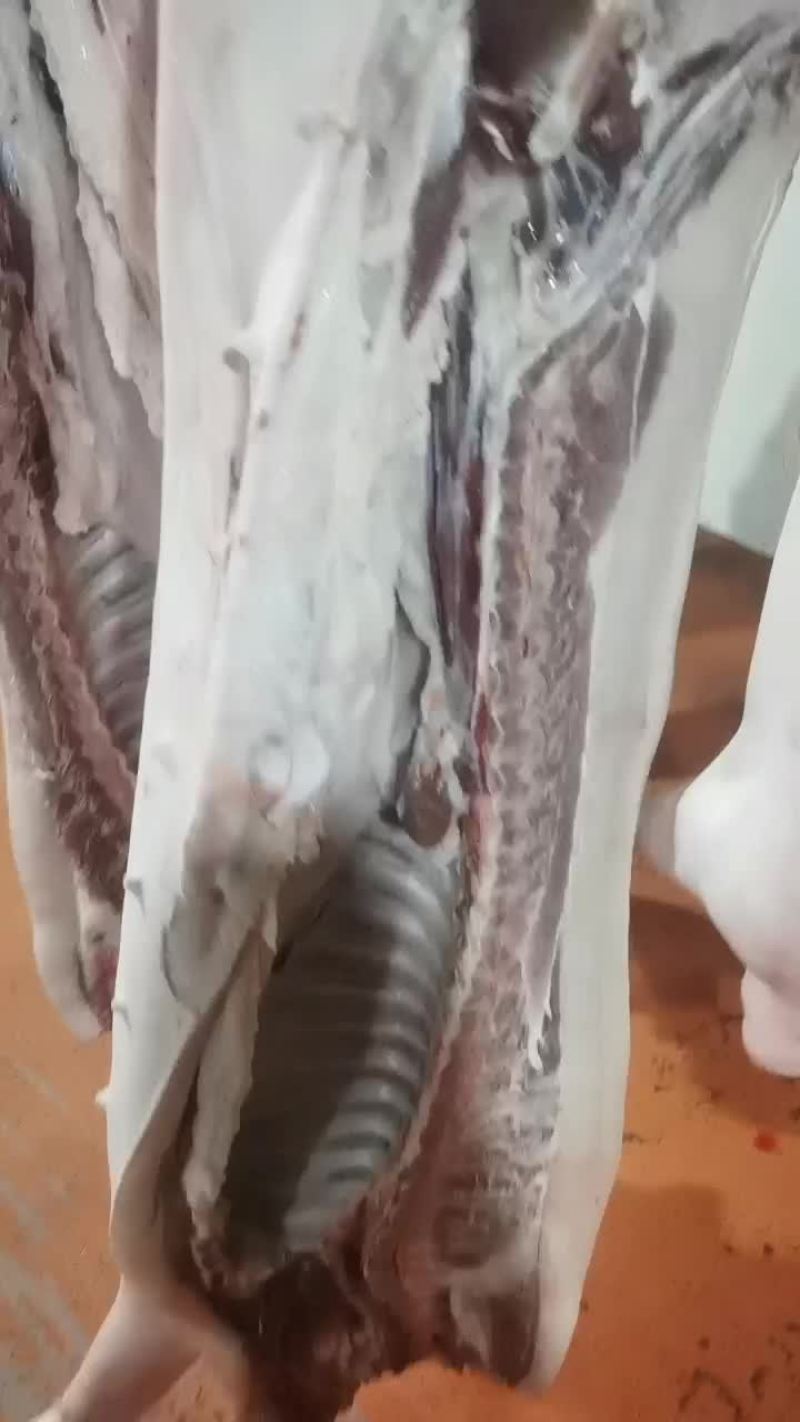 恩施土家猪猪杀了上炕腌腊肉
