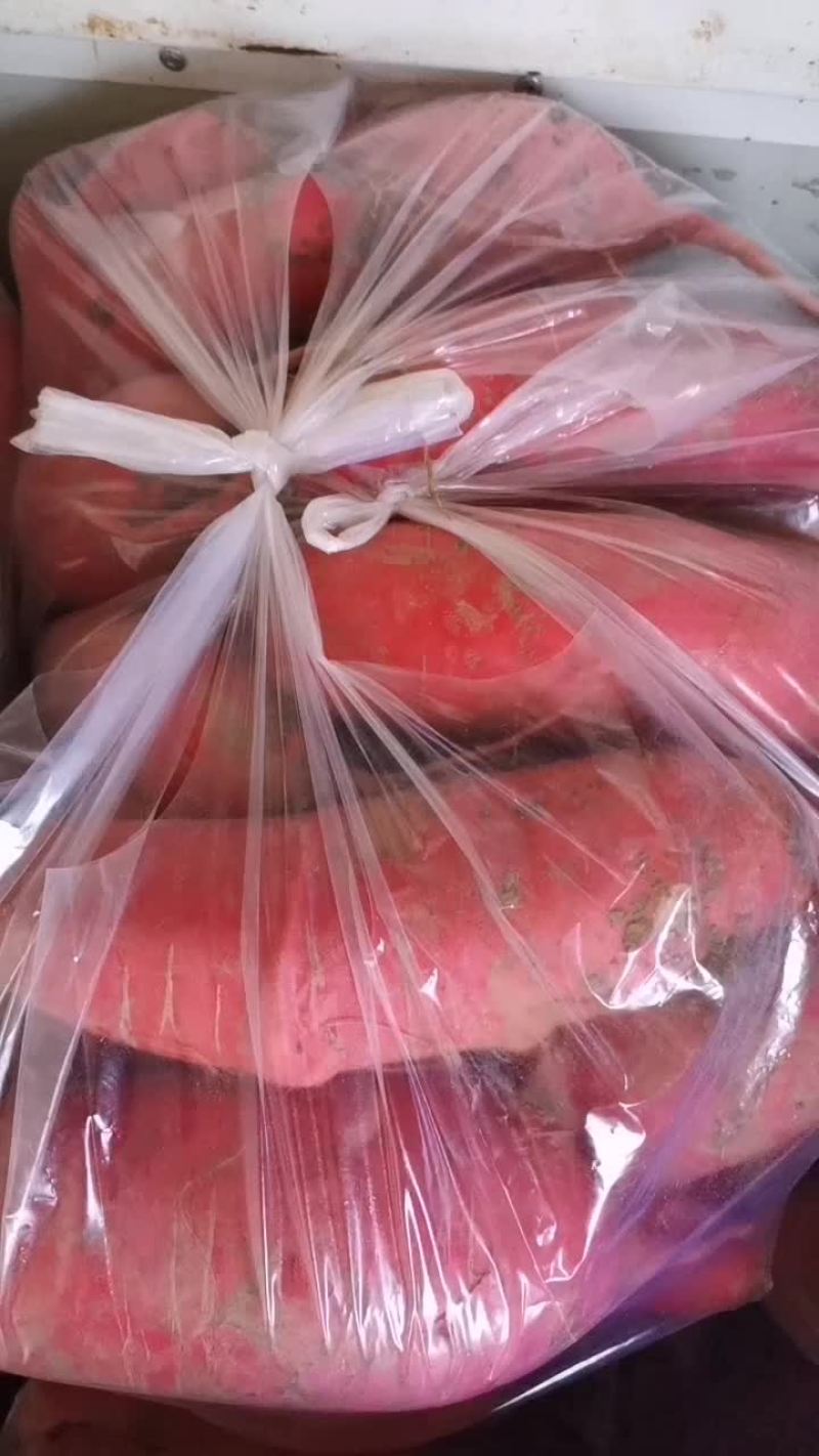 红萝卜