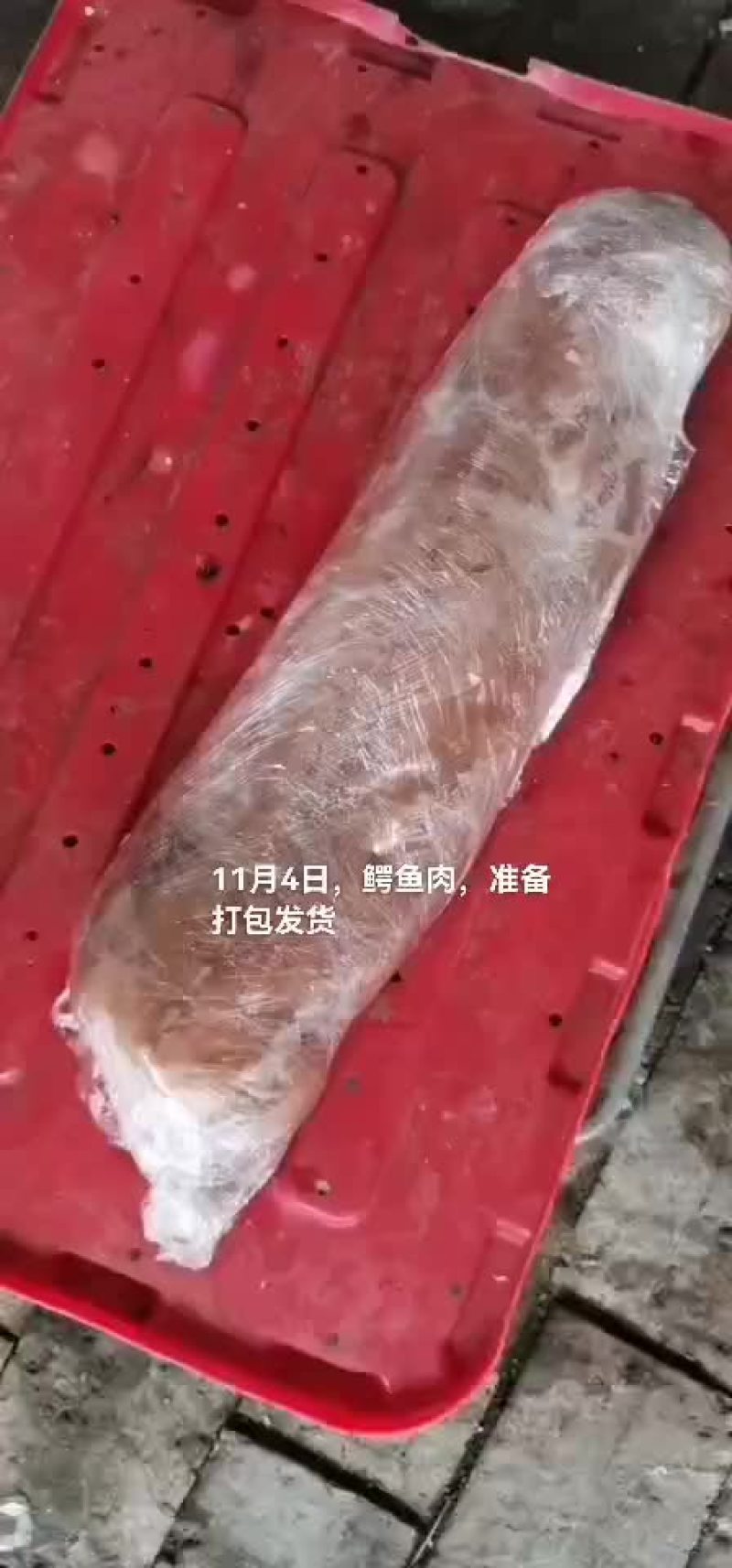 鳄鱼肉