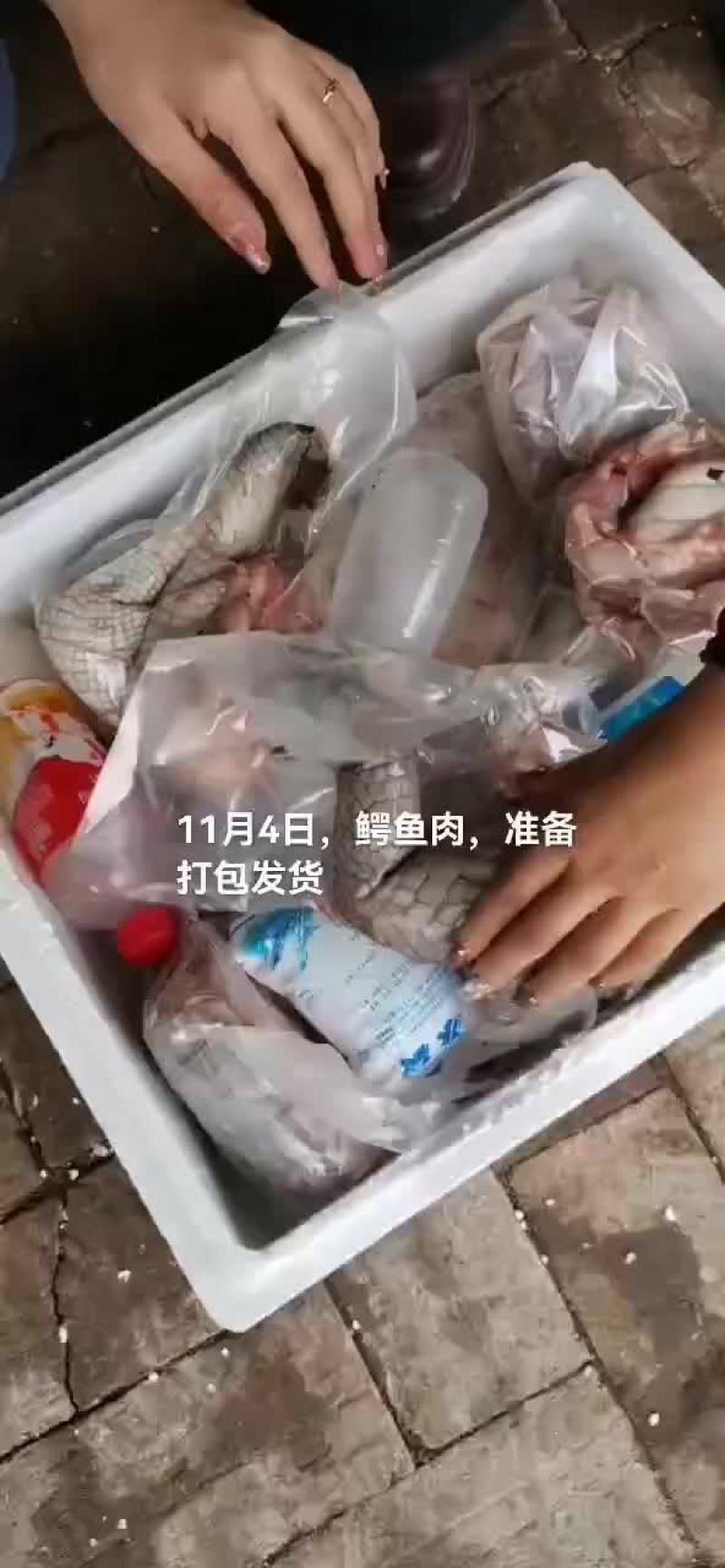鳄鱼肉