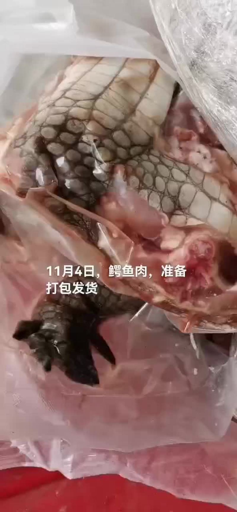鳄鱼肉