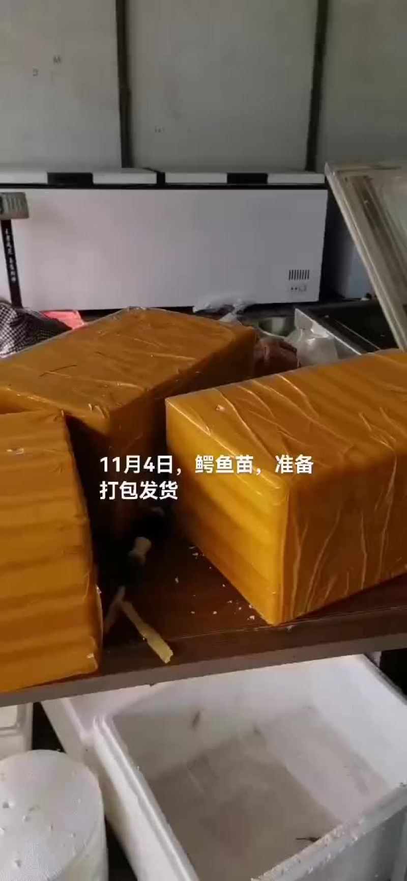 鳄鱼肉