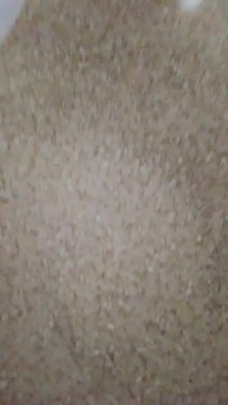 新米上市东北大米