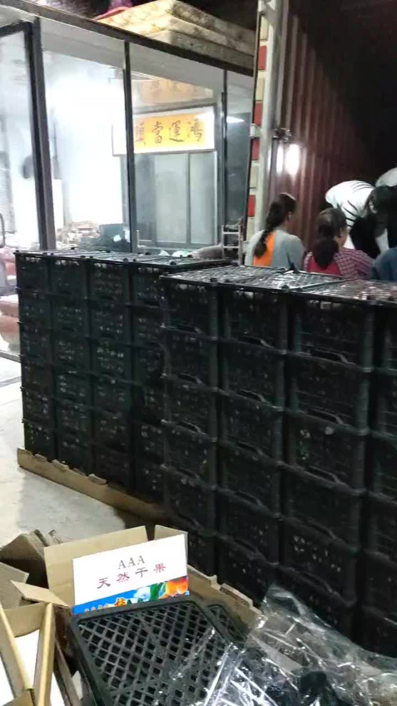 广西桂林恭城康茂柿饼