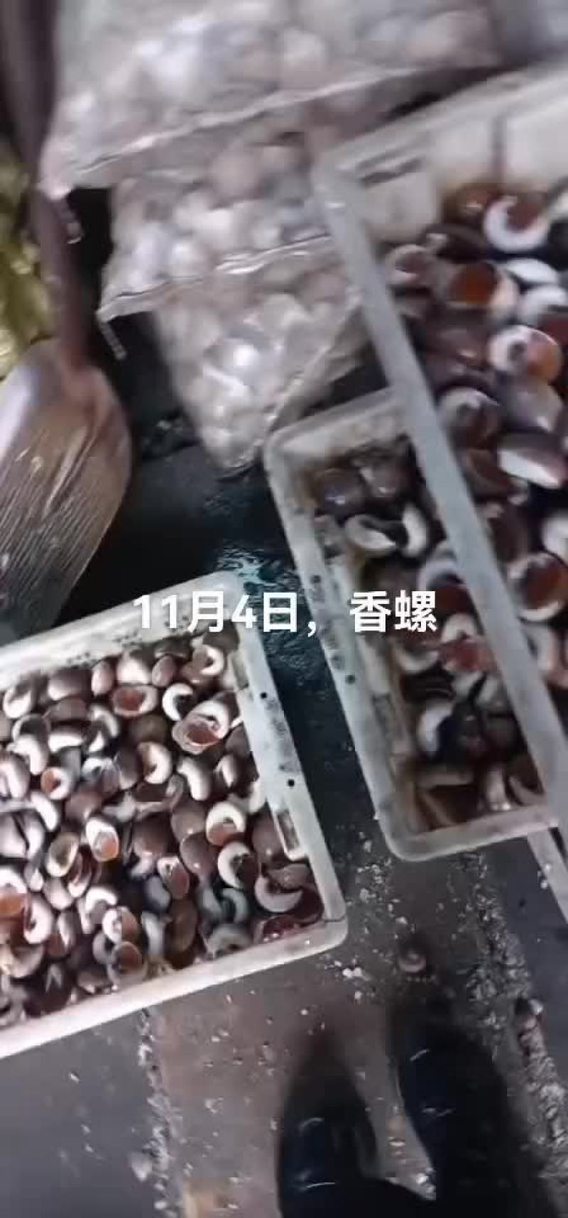 香螺