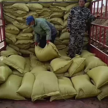 干羊粪，内蒙古大草原牧民散养羊发酵纯干羊粪，装袋干羊粪，
