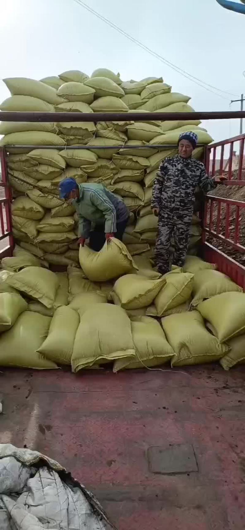 干羊粪，内蒙古大草原牧民散养羊发酵纯干羊粪，装袋干羊粪，