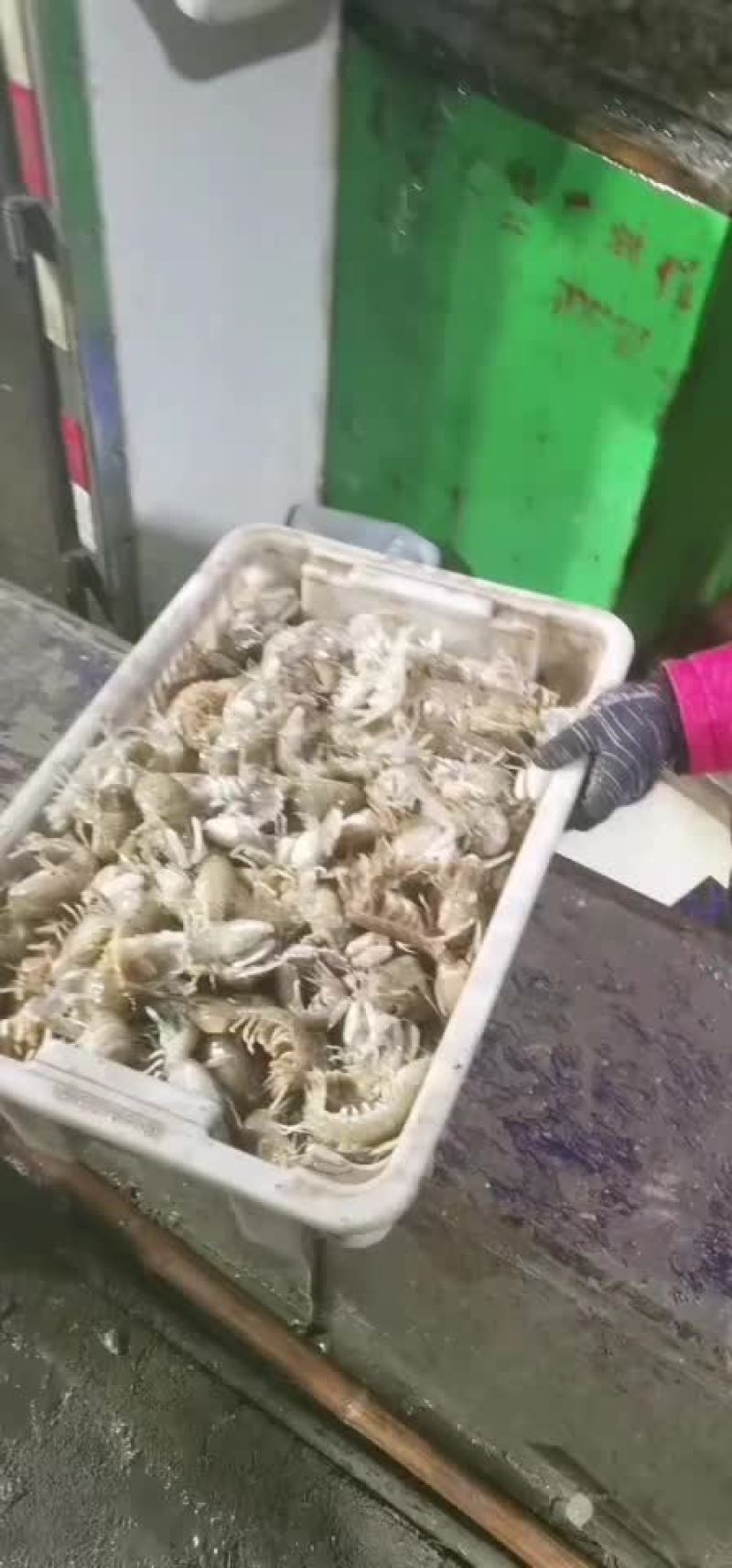 皮皮虾上货