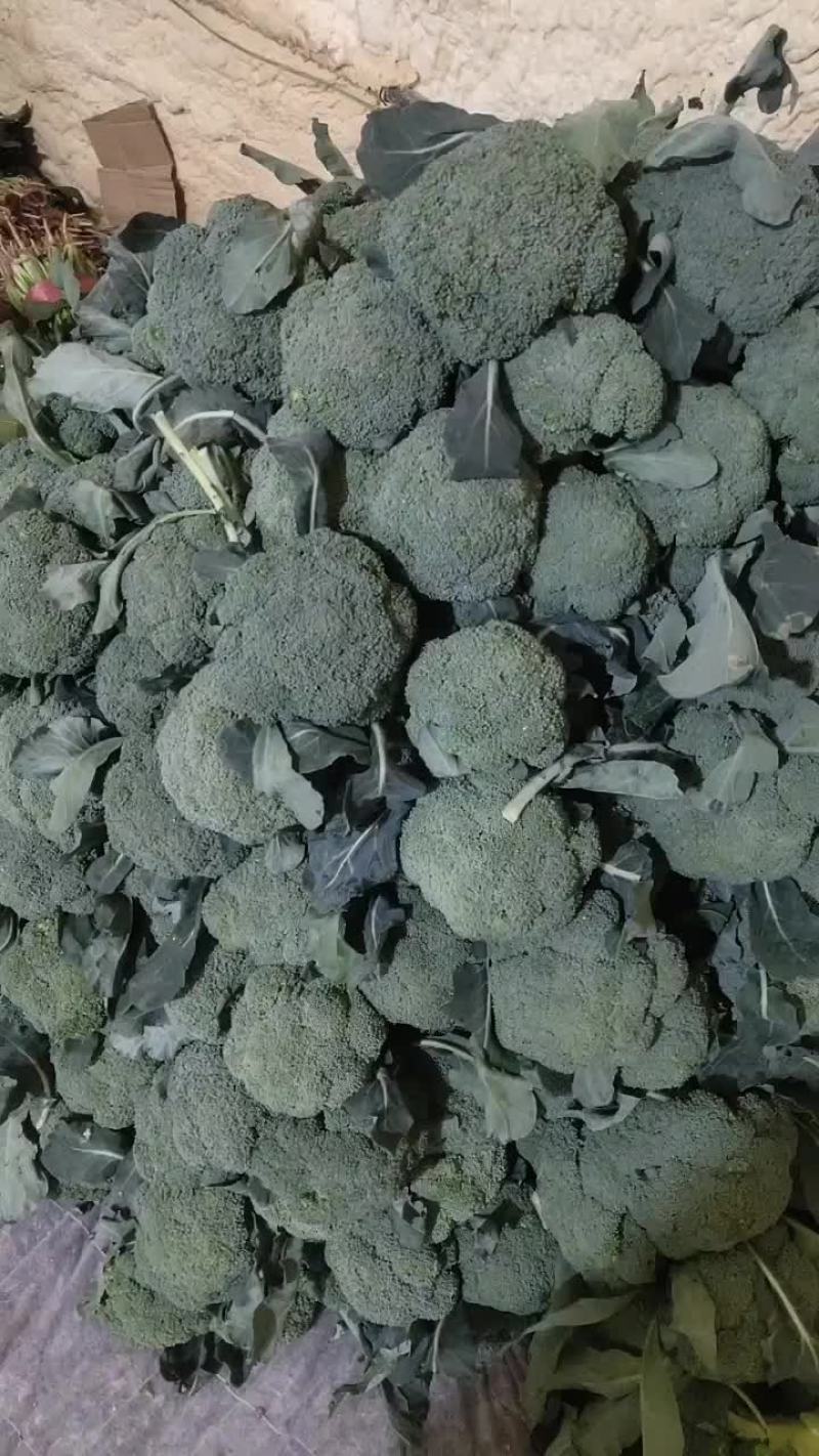 西兰花