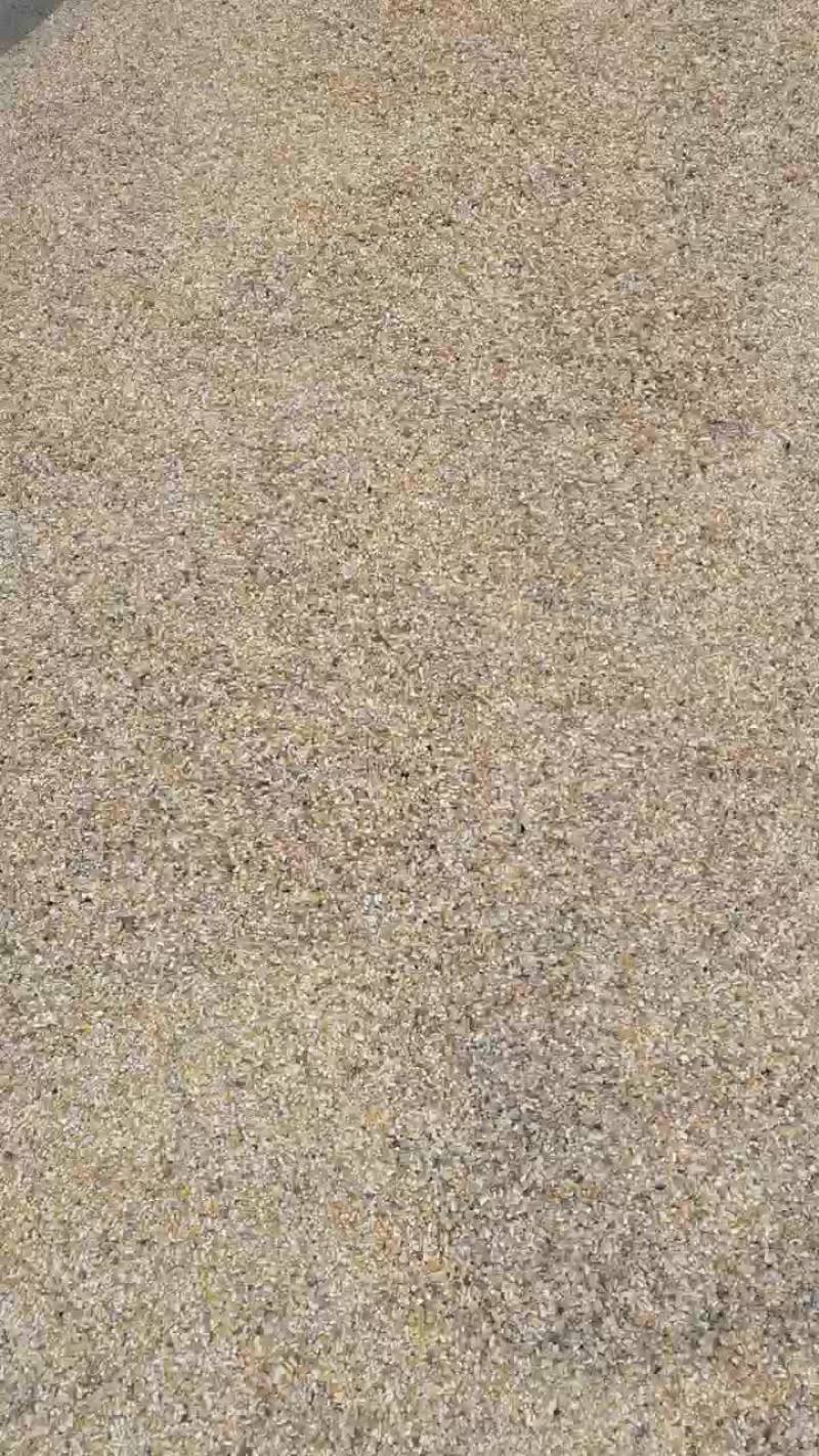 玉米漏